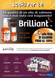 Volantino Giulius Pagina 6