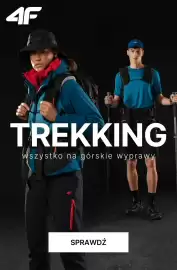 4F gazetka tydzień 18 Strona 1