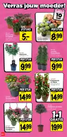Vomar Voordeelmarkt folder week 19 Pagina 29