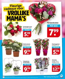 Hoogvliet folder week 19 Pagina 19