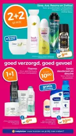 Trekpleister folder Pagina 31