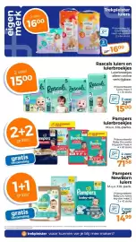 Trekpleister folder Pagina 53