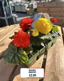 Home Bargains catalogue week 18 Page 5