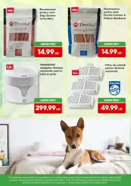 Magazine Animax Pagină 7