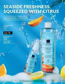 Avon catalogue Page 206