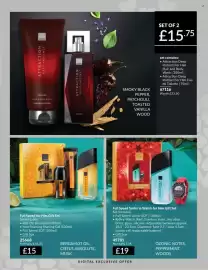 Avon catalogue Page 217