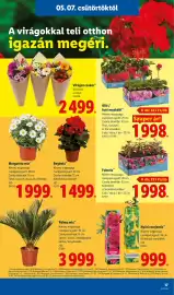 Lidl akciós újság hét 19 Oldal 17