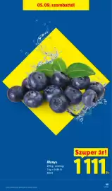 Lidl akciós újság hét 19 Oldal 49