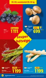 Lidl akciós újság hét 19 Oldal 50
