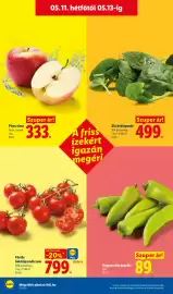 Lidl akciós újság hét 19 Oldal 64