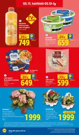 Lidl akciós újság hét 19 Oldal 66