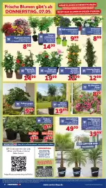 CENTERSHOP Prospekt woche 19 Seite 2