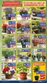 CENTERSHOP Prospekt woche 19 Seite 3