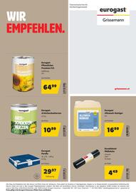 Eurogast Grissemann Flugblatt Seite 24