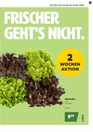 Eurogast Grissemann Flugblatt Seite 3