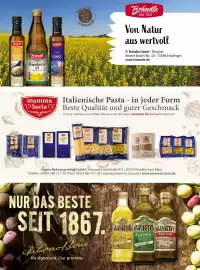 V Markt Magazin Seite 15