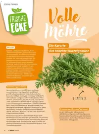 V Markt Magazin Seite 28