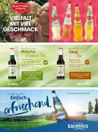 V Markt Magazin Seite 33