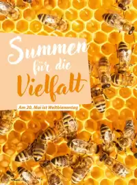 V Markt Magazin Seite 38