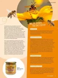 V Markt Magazin Seite 39