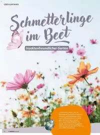 V Markt Magazin Seite 40