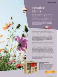 V Markt Magazin Seite 41