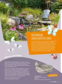 V Markt Magazin Seite 43