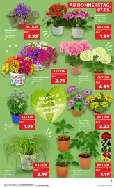 Kaufland Prospekt woche 19 Seite 7