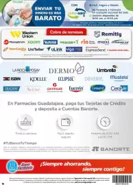 Folleto Farmacias Guadalajara Página 16