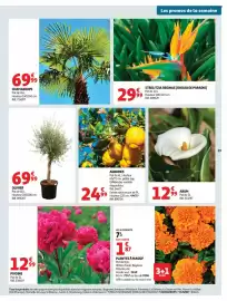 Catalogue Auchan page 39