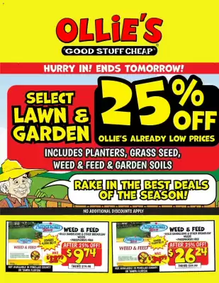 Ollie's (valid until 9-05)