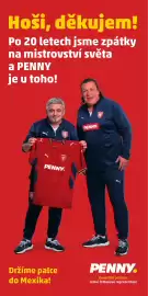 Penny Market leták týden 19 Strana 33