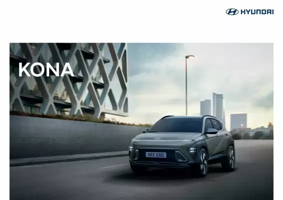 Hyundai (valid until 1-05)