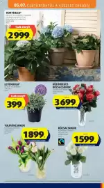 ALDI akciós újság hét 19 Oldal 33