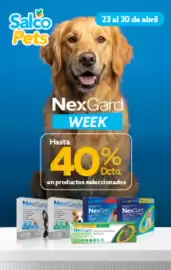 Catálogo Salcobrand Página 6