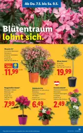 Lidl Flugblatt woche 19 Seite 25