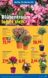 Lidl Flugblatt woche 19 Seite 25