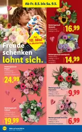 Lidl Flugblatt woche 19 Seite 26
