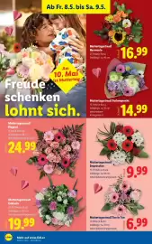Lidl Flugblatt woche 19 Seite 26