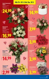 Lidl Flugblatt woche 19 Seite 27