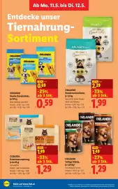 Lidl Flugblatt woche 19 Seite 39