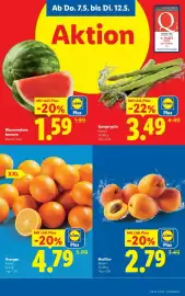 Lidl Flugblatt woche 19 Seite 5