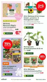 Welkoop folder Pagina 11