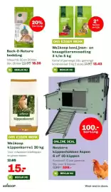 Welkoop folder Pagina 31