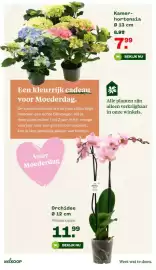 Welkoop folder Pagina 7