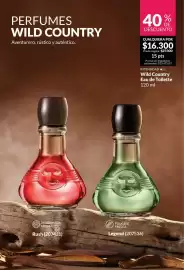 Catálogo Avon Página 102
