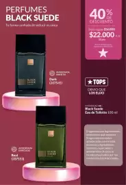 Catálogo Avon Página 93