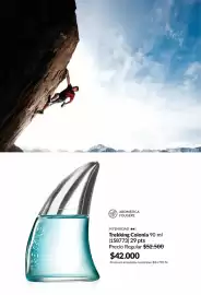 Catálogo Avon Página 99