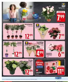 Edeka Prospekt Seite 8