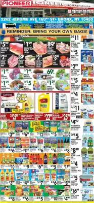 Pioneer (valid until 7-05)